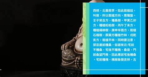 枯樹風水|門前枯樹風水：如何化解風水不利的影響？【門前枯樹風水】 – 八。